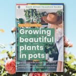 Ultimate E-book: The Easy Guide To Growing Beautiful Plants In Pots