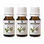 Peppermint Oil 10ML X 3