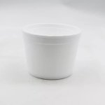 Foam Tub – 500ML 100