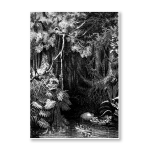 Antique Etching 10 Art Print - A0