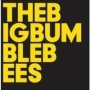 The Big Bumble Bees   Cd