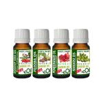 Healthy Skin 30 Plus | CARRIER OILS MINI Collection