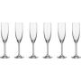 Daily Champagne Glasses 200ML Set Of 6