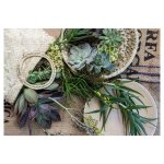 Natural Green Aloe Bouquet In Basket On Hessian Rectangular Placemat