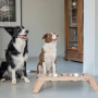 Bentley Dog Feeder - Large - 63CM L X 20CM H X 27CM W