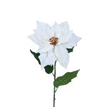 Poinsettia 22X23X67CM - White