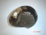 Septarian Jasper Dragonstone Geode 0.453KG