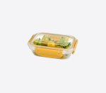 Master Seal Rectangular 310ML