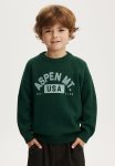 Cotton On Blake Knit Crew - Pine Tree Green aspen