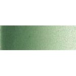 Artist& 39 S Watercolour Paint - 15ML - Terre Verte Hue