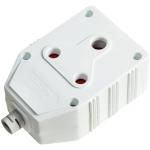 Dbl BACK2BACK Janus Coupler 1 Ea