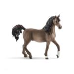 Horse Club - Arabian Stallion