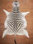 Aa Grade Zebra Hide 058 L