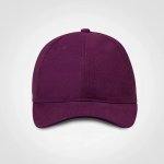 6 Panel Promo Cap