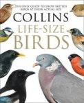 Collins Life-sized Birds - The Only Guide To Show British Birds At Their Actual Size Hardcover