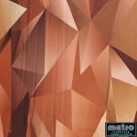 Soft Shell Printed Abstract 3