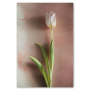 Watercolour Wash Tulips 2 - A4 / No Frame Print Only