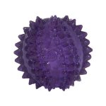 Puppy Bristl-ee Cactus Ball