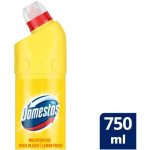 Domestos Lemon Fresh Multipurpose Thick Bleach - 750ml