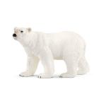 Wildlife - Polar Bear