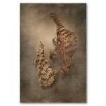 Earthy Ferns 3 Art Print - A2 No Frame Print Only