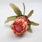 Niobe Protea Orange 72 Cm