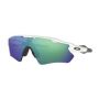 Oakley - Radar Ev Path - Polished White/prizm Jade