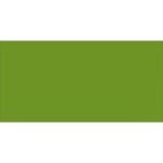Caran D& 39 Ache Pablo Coloured Pencil - Khaki Green 016