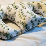 Delicious Monsters Twin Feeding Pillows Eucalyptus