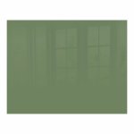 Parrot Reseda Green Hob Splashback Glass - 898 X 700 X 6MM
