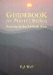 Guidebook for Perfect Beings - Practicing the Way Life Really Works