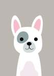 Dog - Acrylic Wall Print - 600MM X 600MM