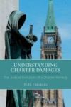 Understanding Charter Damages - The Judicial Evolution Of A Charter Remedy Paperback