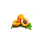 Apricot Concentrate - 10ML