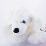 Super Soft Doggy Teddy - Factory Plaza