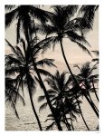 Full Dream Art Print - A3