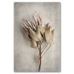 Everlasting 3 Art Print - A1 No Frame Print Only