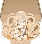 Moresis Sea Shell Holder Wooden Seashell Display Box Small Shadow Box For Sea Glass Shark Tooth Storage Christmas Gift