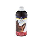 Regal Joint Health Remedy 400ml