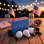 12V 8AH Portable Power Station With 3 LED Bulbs