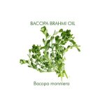 Brahmi Bacopa Ayurveda Massage Carrier Oil - 500 Ml