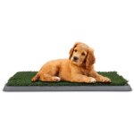 Pet Potty Patch 43 X 68CM
