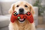 Plush Game Controller Dog Chew Toy