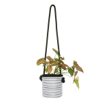 Hanging Black Stripy Planter - Small
