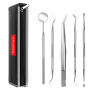 Oral Hygiene & Plaque Remover Dental Kit