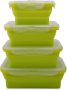 Food Preserve Storage Box - Fine Living - Green