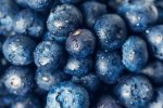 Blueberry Concentrate - 10ML