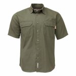 Sterling Plain Short Sleeve Shirt Olive
