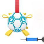 Interactive Squeaky Dog Football