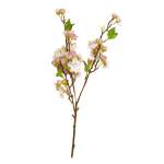 Pink Cherry Blossom Stem